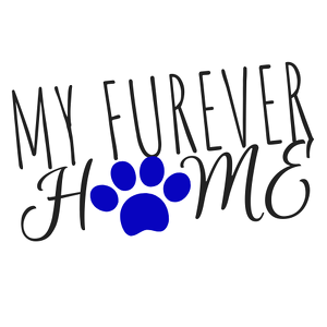 Ashlie Leone Gabrielle Fields